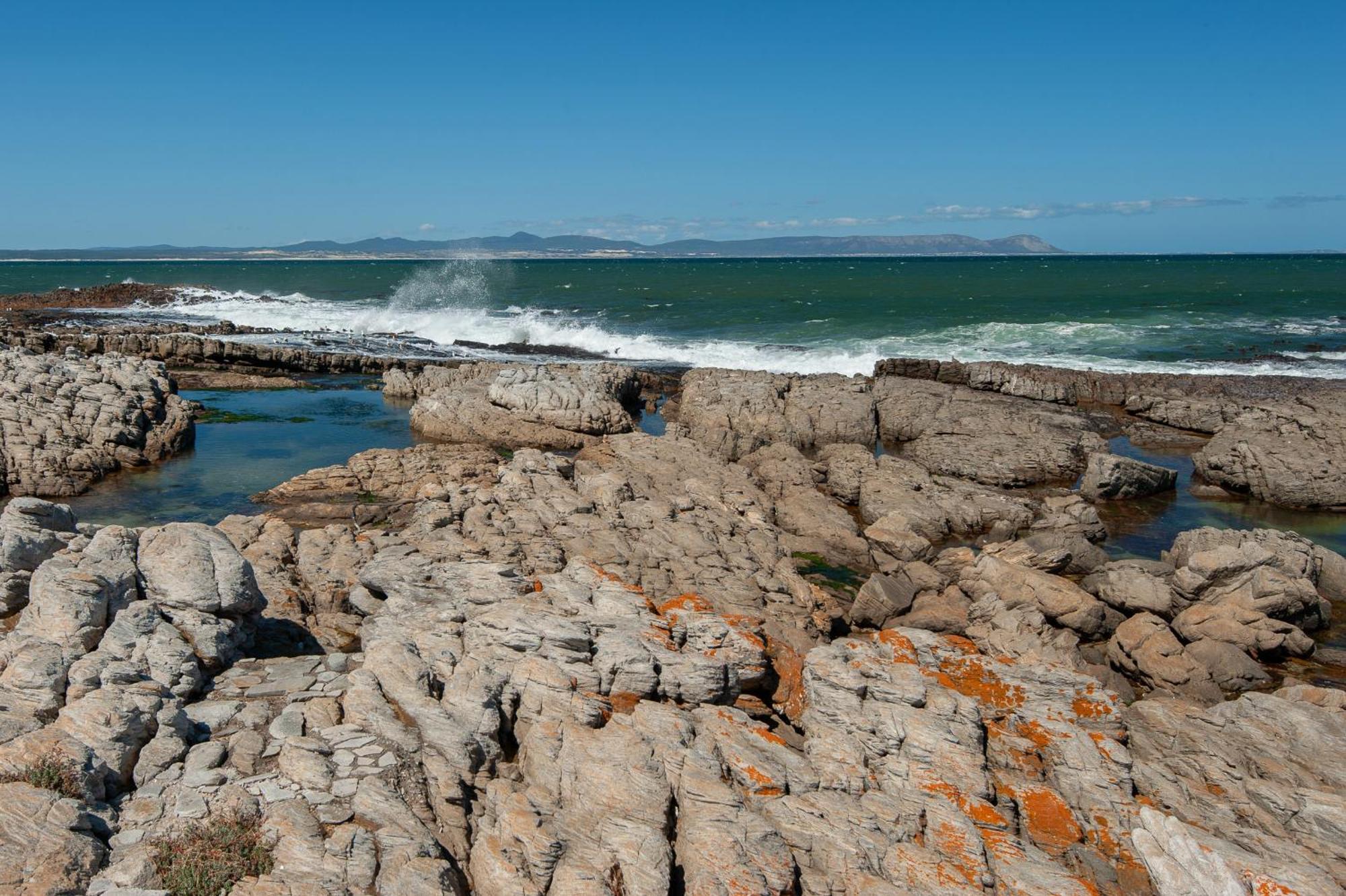 63 Whalerock Estate Daire Hermanus Dış mekan fotoğraf