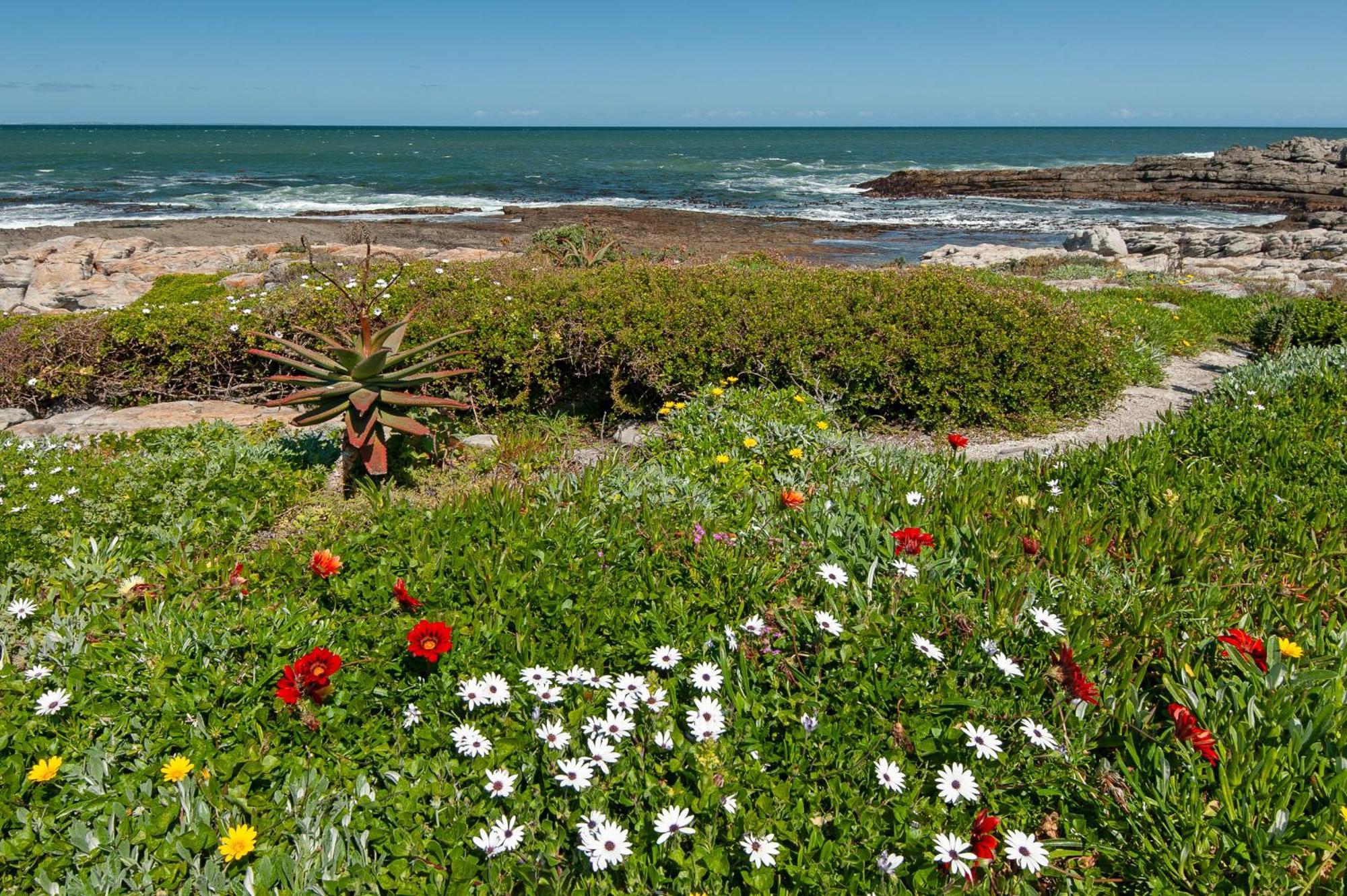 63 Whalerock Estate Daire Hermanus Dış mekan fotoğraf